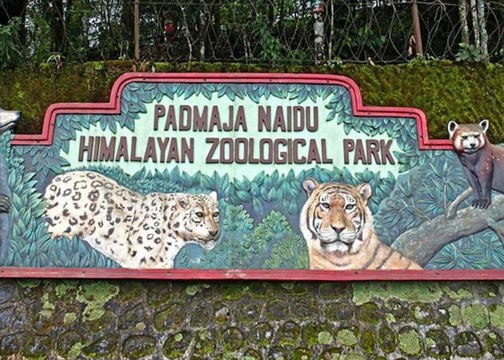Zological Park in Darjeeling