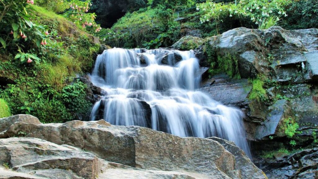 Rock Garden Darjeeling waterfall and scenic greenery