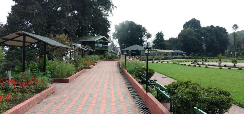 A Peaceful Escape in the Heart of Darjeeling